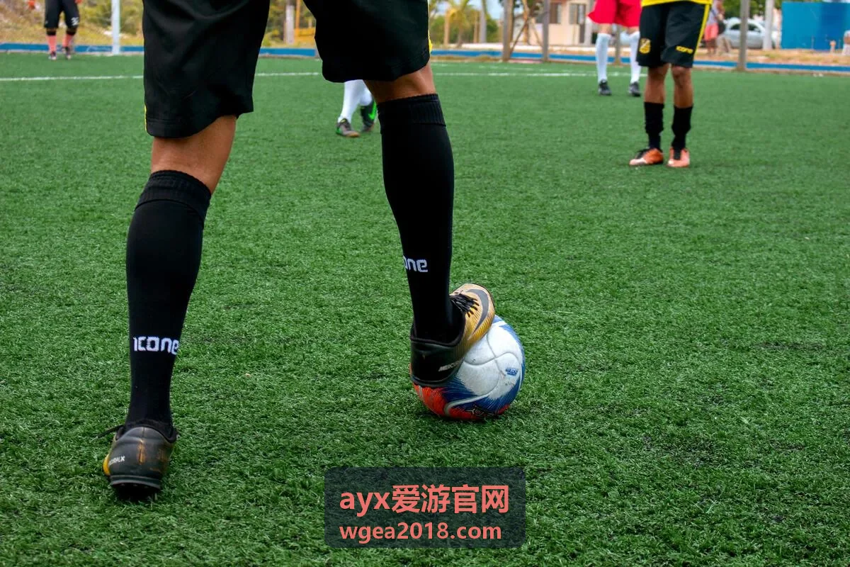ayx爱游官网内容资讯速递频道头图