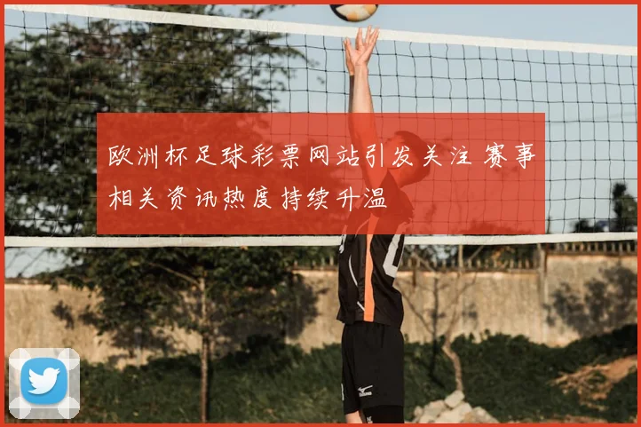 欧洲杯足球彩票网站引发关注 赛事相关资讯热度持续升温